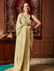 Pastel Green Handloom Pure Khaddi Tissue Silk Saree