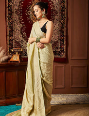 Pastel Green Handloom Pure Khaddi Tissue Silk Saree