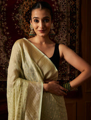 Pastel Green Handloom Pure Khaddi Tissue Silk Saree