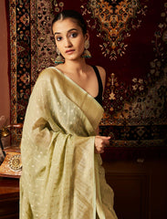 Pastel Green Handloom Pure Khaddi Tissue Silk Saree