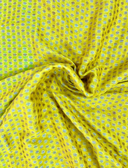 Yellow And Green Neemzari Pure Khaddi Chiffon Saree